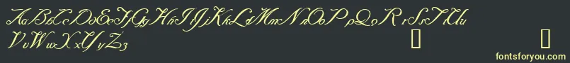 Baraquiel Font – Yellow Fonts on Black Background
