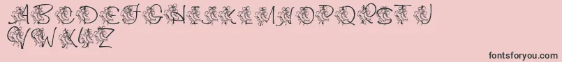 LmsCuttingTheIce Font – Black Fonts on Pink Background