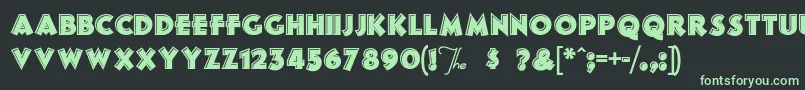 FrankensSteina Font – Green Fonts on Black Background