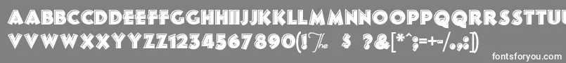 フォントFrankensSteina – 灰色の背景に白い文字