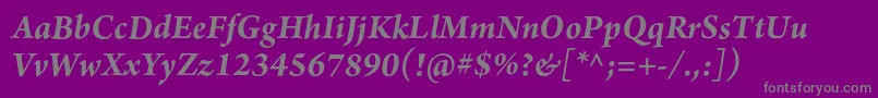 ArnoproBolditalic12pt-Schriftart – Graue Schriften auf violettem Hintergrund