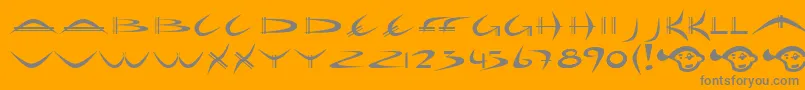 Holib-Schriftart – Graue Schriften auf orangefarbenem Hintergrund