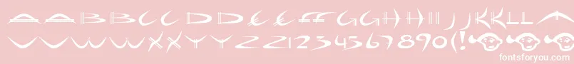 Holib-Schriftart – Weiße Schriften auf rosa Hintergrund