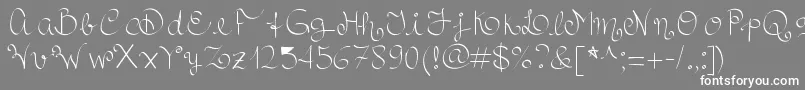 フォントRoyalncurvy – 灰色の背景に白い文字