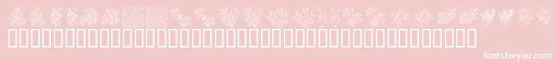 KrFloralColorMe Font – White Fonts on Pink Background