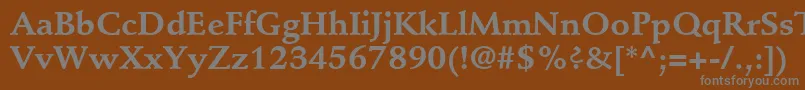 フォントStempelSchneidlerLtBold – 茶色の背景に灰色の文字