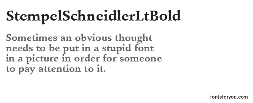 Review of the StempelSchneidlerLtBold Font
