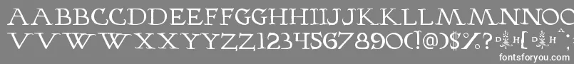 フォントHopfer – 灰色の背景に白い文字