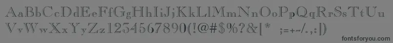 CaslonopenfaceThin Font – Black Fonts on Gray Background