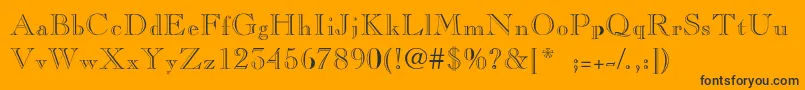 CaslonopenfaceThin Font – Black Fonts on Orange Background