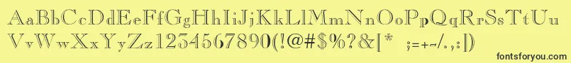 CaslonopenfaceThin Font – Black Fonts on Yellow Background