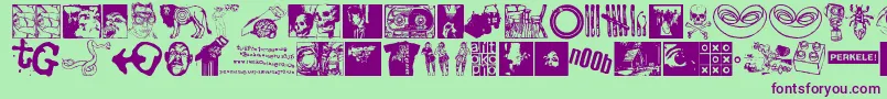 Jungodingbats Font – Purple Fonts on Green Background