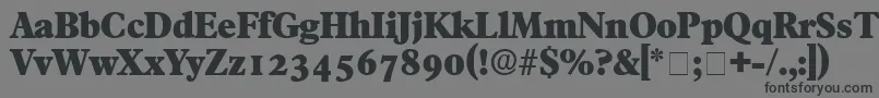 フォントTympanDisplaySsi – 黒い文字の灰色の背景