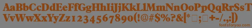 フォントTympanDisplaySsi – 茶色の文字が灰色の背景にあります。