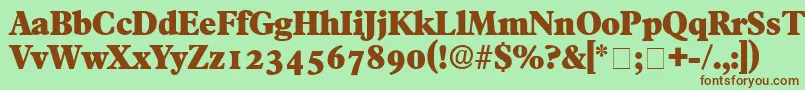 TympanDisplaySsi-fontti – ruskeat fontit vihreällä taustalla
