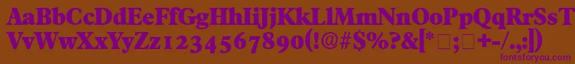 TympanDisplaySsi-Schriftart – Violette Schriften auf braunem Hintergrund