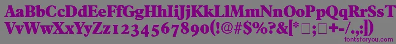 Шрифт TympanDisplaySsi – фиолетовые шрифты на сером фоне