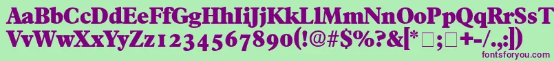 フォントTympanDisplaySsi – 緑の背景に紫のフォント