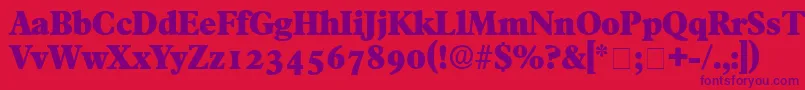 TympanDisplaySsi Font – Purple Fonts on Red Background