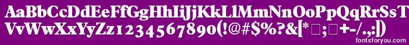 フォントTympanDisplaySsi – 紫の背景に白い文字