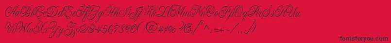Lastochka Font – Black Fonts on Red Background