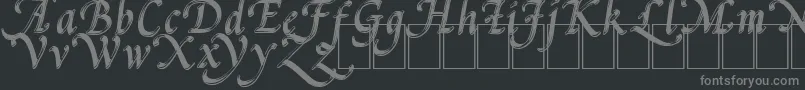 フォントPalMod – 黒い背景に灰色の文字