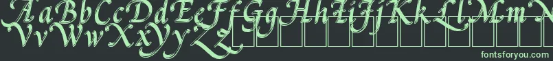 PalMod Font – Green Fonts on Black Background