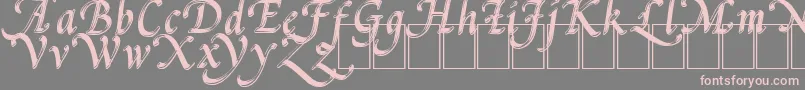 PalMod-fontti – vaaleanpunaiset fontit harmaalla taustalla