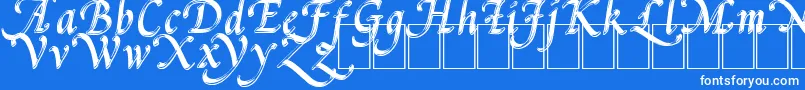 PalMod-Schriftart – Weiße Schriften auf blauem Hintergrund