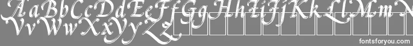 フォントPalMod – 灰色の背景に白い文字
