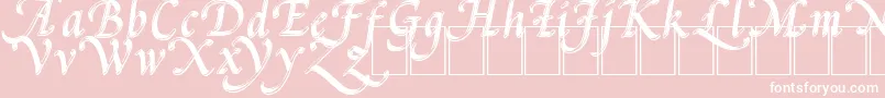 PalMod-Schriftart – Weiße Schriften auf rosa Hintergrund