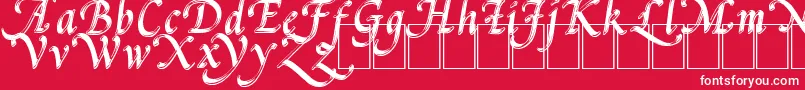 PalMod Font – White Fonts on Red Background