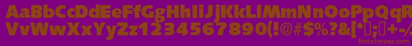 Lansettedisplayssk Font – Brown Fonts on Purple Background