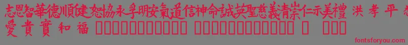 フォントVtmeiornaments – 赤い文字の灰色の背景