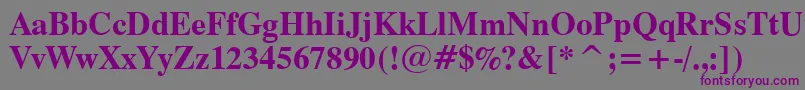 Dutch801BoldBt-fontti – violetit fontit harmaalla taustalla