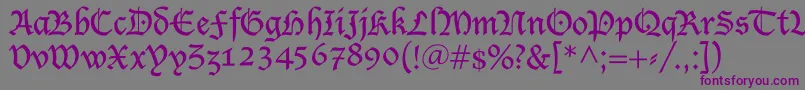 Shablon Font – Purple Fonts on Gray Background