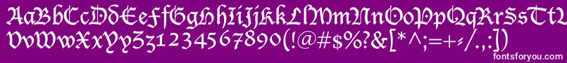 Shablon Font – White Fonts on Purple Background