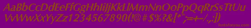 ColumbiaantiqueBolditalic Font – Brown Fonts on Purple Background