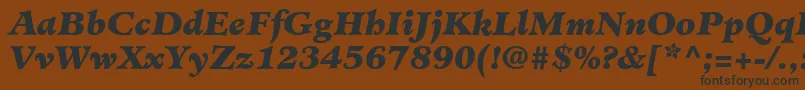 MinisterLtBlackItalic Font – Black Fonts on Brown Background