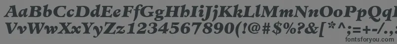 MinisterLtBlackItalic Font – Black Fonts on Gray Background