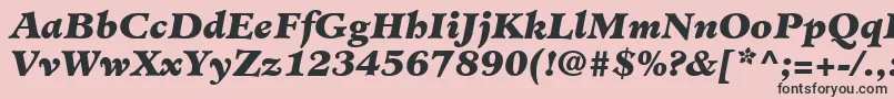 MinisterLtBlackItalic-Schriftart – Schwarze Schriften auf rosa Hintergrund