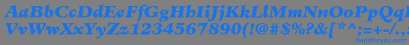 MinisterLtBlackItalic-fontti – siniset fontit harmaalla taustalla