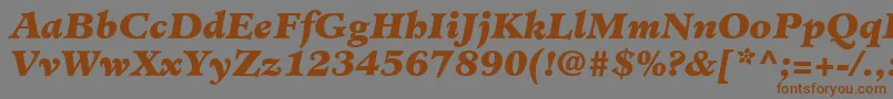 フォントMinisterLtBlackItalic – 茶色の文字が灰色の背景にあります。