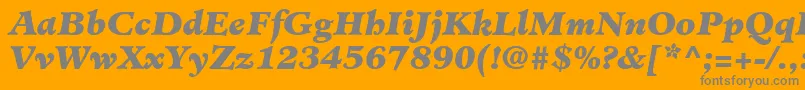 MinisterLtBlackItalic Font – Gray Fonts on Orange Background