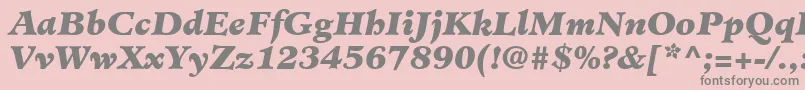 フォントMinisterLtBlackItalic – ピンクの背景に灰色の文字