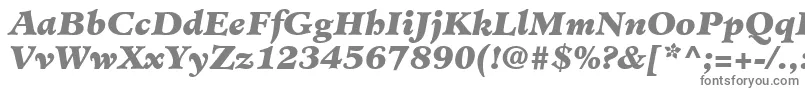 Шрифт MinisterLtBlackItalic – серые шрифты на белом фоне