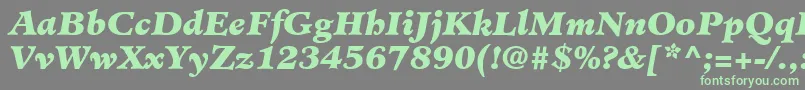 Шрифт MinisterLtBlackItalic – зелёные шрифты на сером фоне