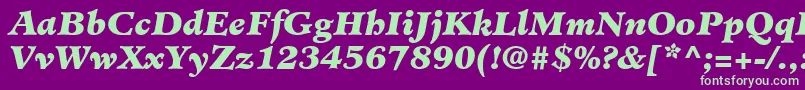 MinisterLtBlackItalic Font – Green Fonts on Purple Background