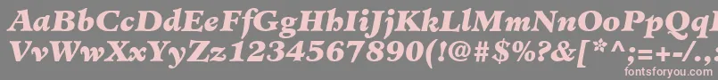 Шрифт MinisterLtBlackItalic – розовые шрифты на сером фоне