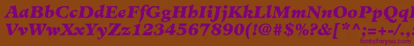 MinisterLtBlackItalic Font – Purple Fonts on Brown Background